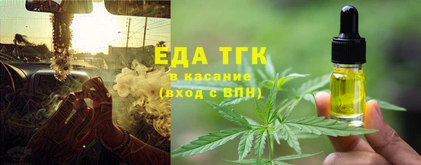 СК Ельня