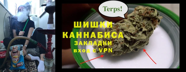 СК Ельня