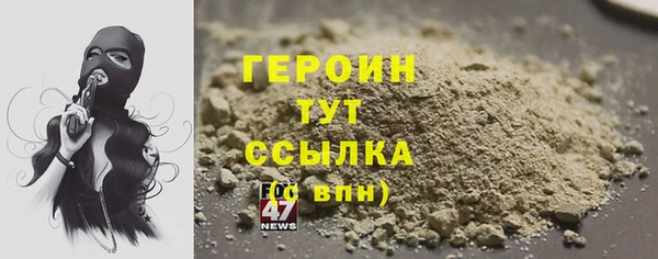 СК Ельня
