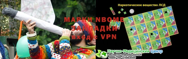 СК Ельня