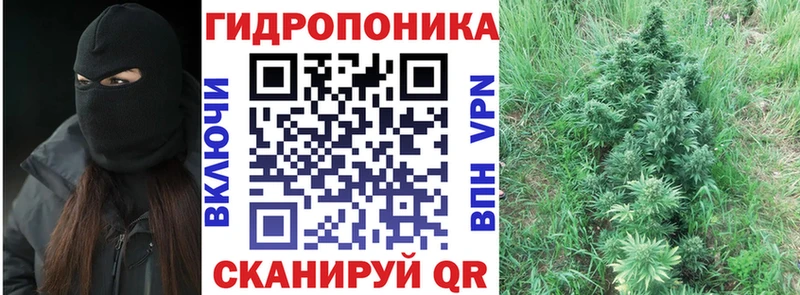 Купить закладки Балтийск Конопля THC 21%